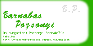 barnabas pozsonyi business card
